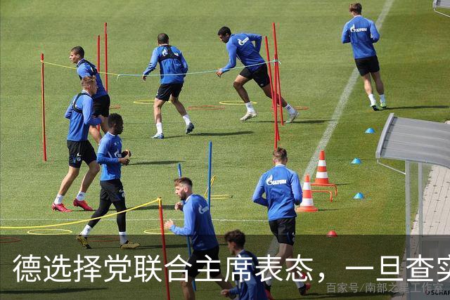 德选择党联合主席表态，一旦查实乌参与北溪管道爆炸，将面临后果