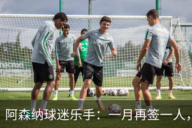 阿森纳球迷乐手：一月再签一人，我们能赢下一切